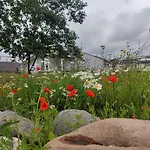 Storebaelt Sinatur & Konference 3* Nyborg