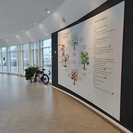 Storebaelt Sinatur & Konference Отель