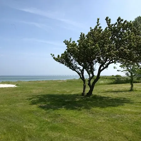 Storebaelt Sinatur & Konference Hotel