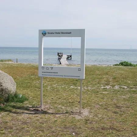 Storebaelt Sinatur & Konference 3*