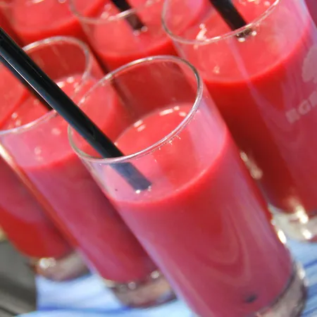 Storebaelt Sinatur & Konference Hotel Nyborg