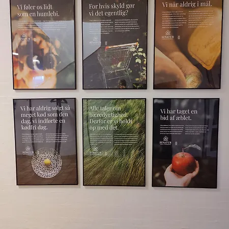 Storebaelt Sinatur & Konference Hotel 3*