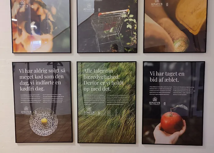 Storebaelt Sinatur & Konference Hotel 3*